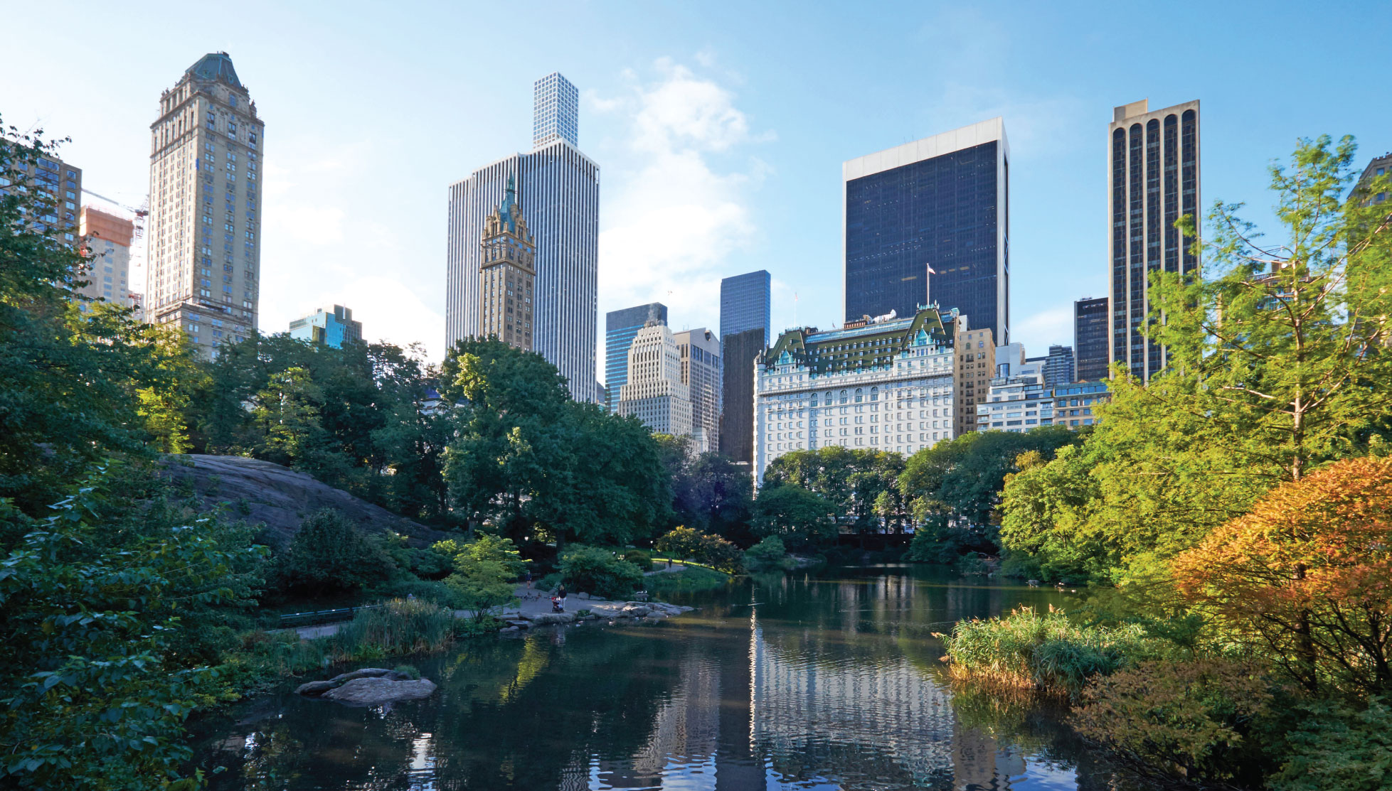 Manhattan skyline seen from a landscaped park